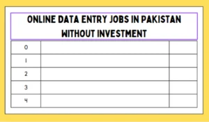 Online Data Entry Jobs in Pakistan Without Investment